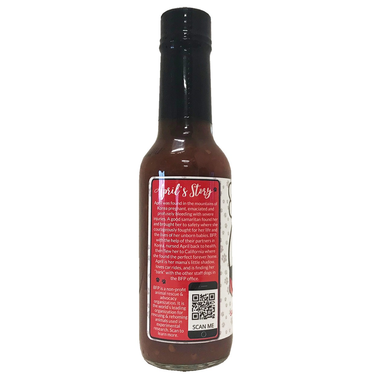 Beagle Freedom Project Sauce- April Story
