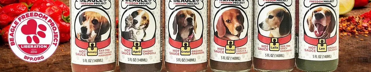 Category Banner- Beagle Freedom Project