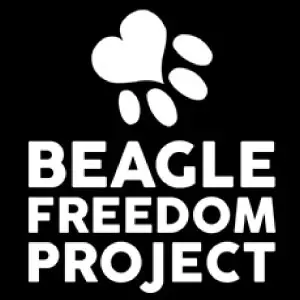 Beagle Freedom Project
